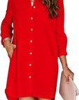 Lila Button-Up Shirt Dress